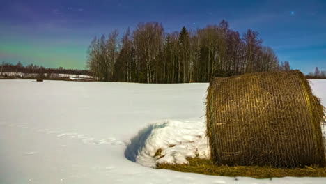 Lights-from-the-aurora-borealis-flicker-across-the-starry-sky-above-a-copes-of-trees-and-a-rolled-bale-of-hay---time-lapse