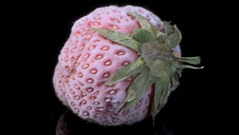 one fresh frozen strawberry on black glass with reflection. black background, rotation 360 degrees, close-up