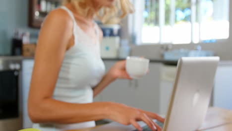 cute blonde using laptop in kitchen