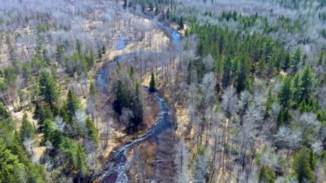 4k,-30fps-Drohnenaufnahme-Des-Fließenden-Schwarzen-Flusses-Im-Taubenflusswald-Im-Norden-Von-Michigan-Im-Frühjahr