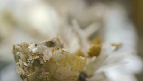 close-up of mineral specimens