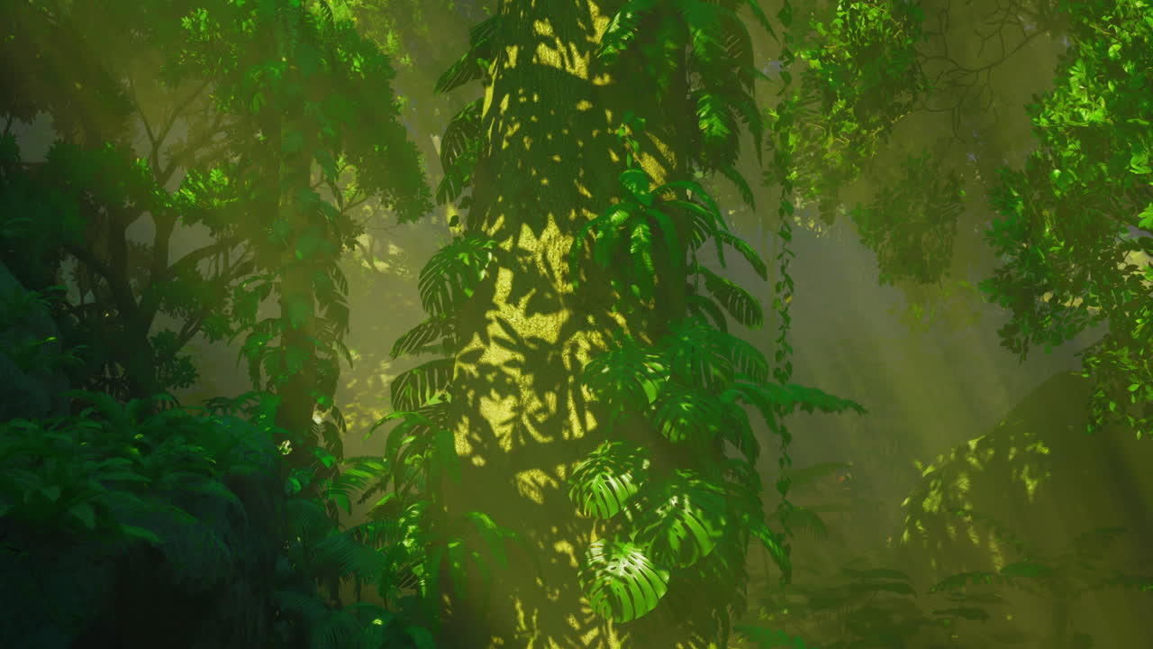 Sunlight filters through leaves over a tall green plant in the jungle