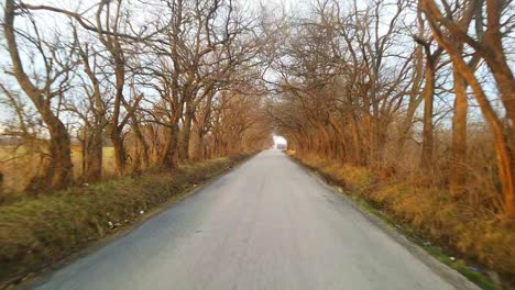 Eine-Fahrt-Auf-Einer-Landstraße-Mit-überhängenden-Bäumen-Im-Winter