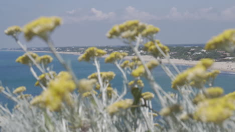 Blick-Vom-Circeo-Auf-Sabaudia