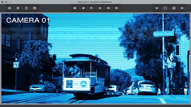 Security Camera Footage