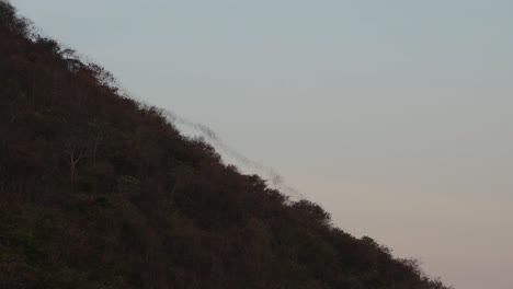 Strom-Von-Fledermäusen,-Die-Nachts-Aus-Einer-Höhle-Kommen,-Um-Zu-Fressen,-Fledermauswolkenströme,-Chiroptera,-Thailand