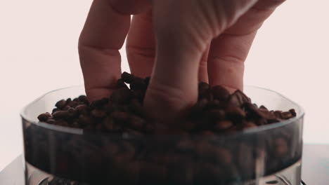 Pile-Of-Roasted-Coffee-Beans-In-A-Grinding-Container-Touching-By-Human-Hands