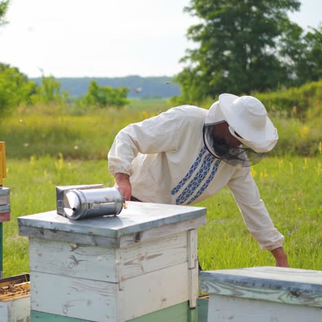 beekeeper pulled off a honeycomb and cleans it with a brush. man at apiary works in protective hat. apiculture concept