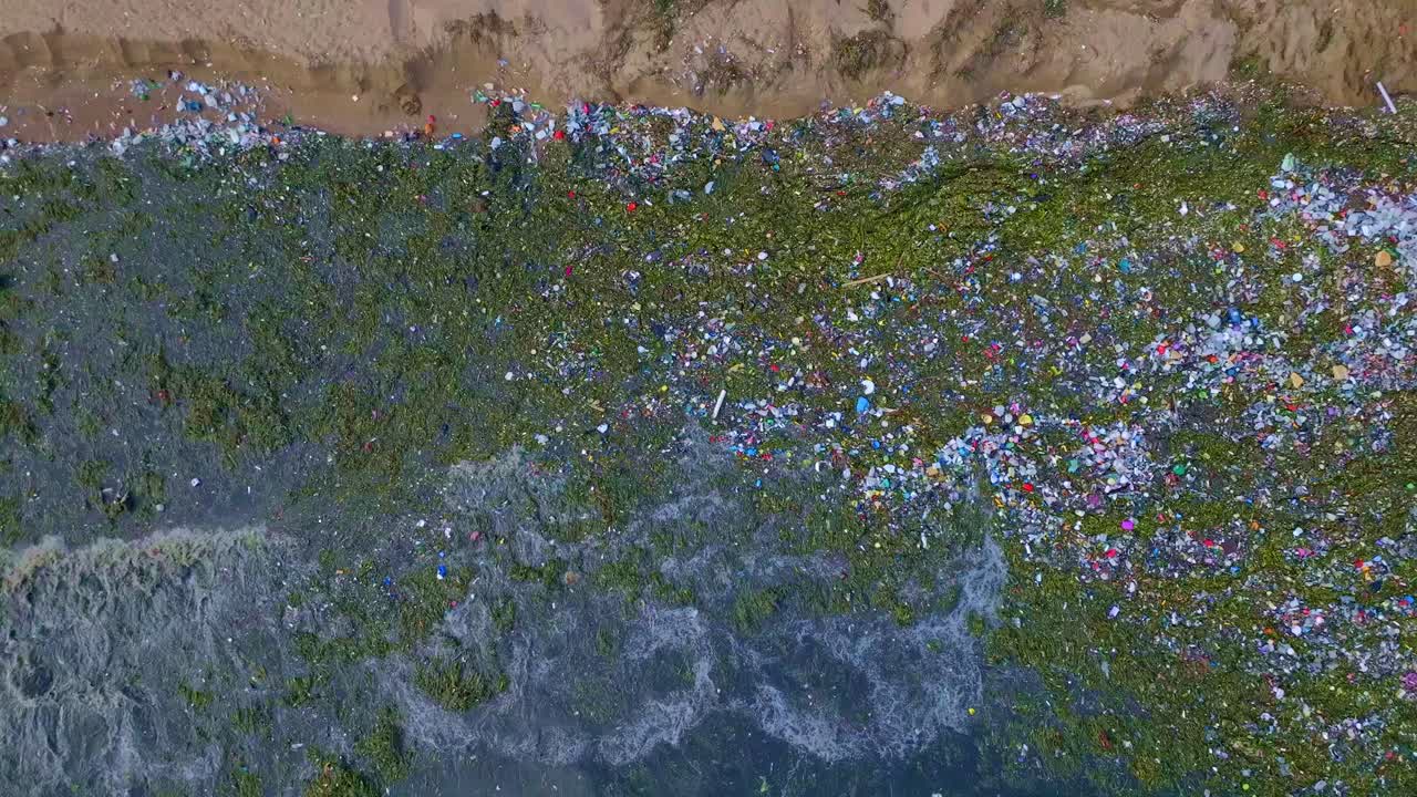 플라스틱 폐기물 과 해초 가 해변 으로 흘러 들어온 것 - 물 오염