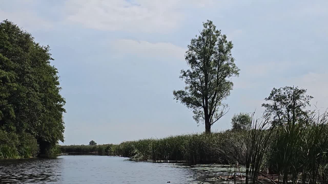 Nature can be seen alongside a canal in this footage. It was taken during summer.