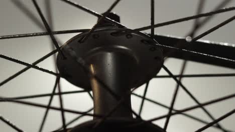 cerca de radios de bicicleta tirados en el suelo en una noche de niebla