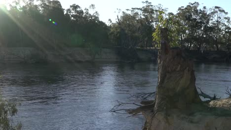 outdoor nature sunlight on river during sunset outback