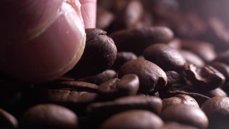 fingers picking coffee beans at industrial factory, extreme close up