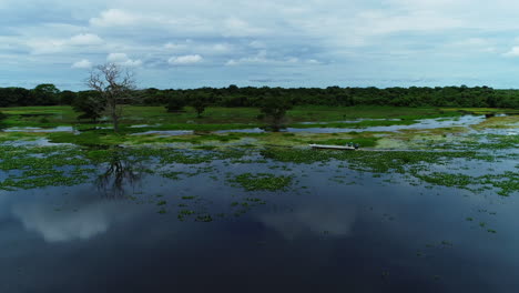 drone video around a boat in the wetlands of brazil