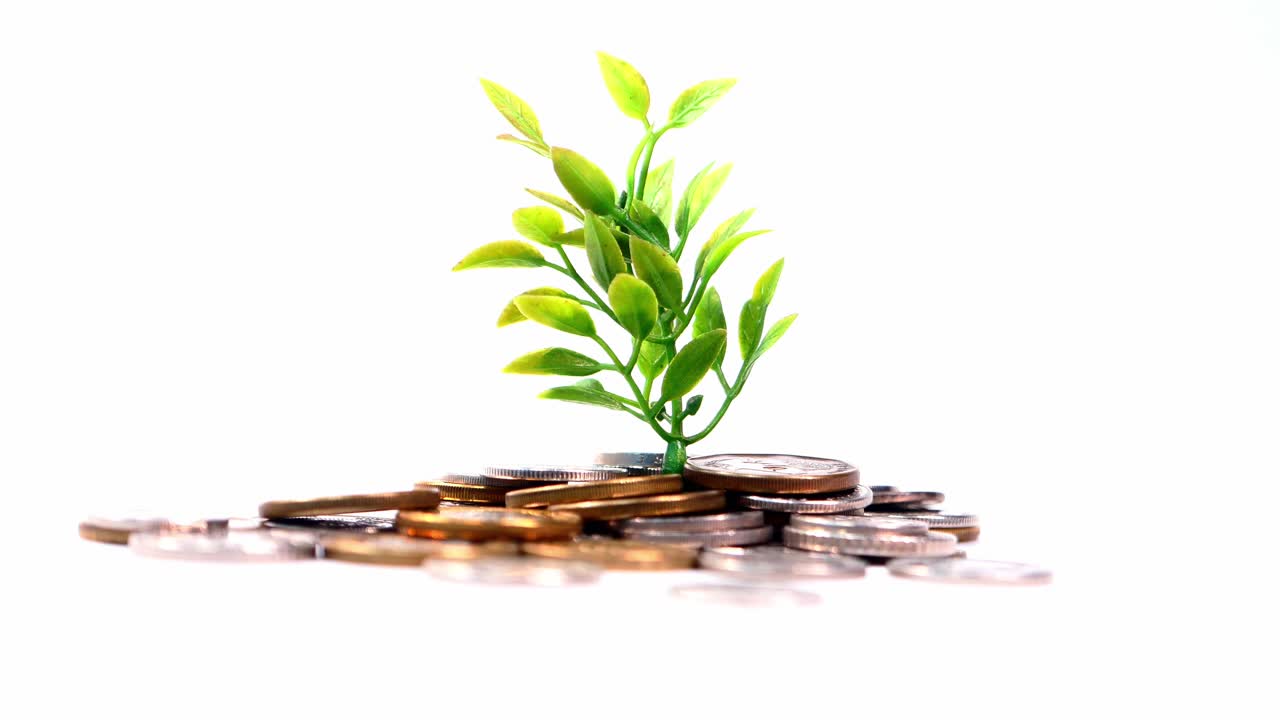 crecimiento del dinero