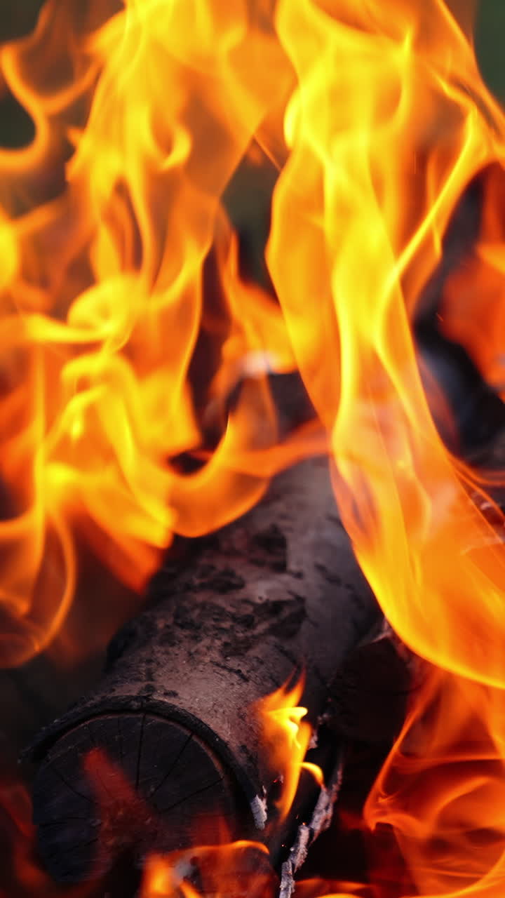 Detailed motion of vivid flame. Twisting tongues of dancing fire. Orange fire flame and slight smoke on blur background. Close-up. Slow motion. Vertical video