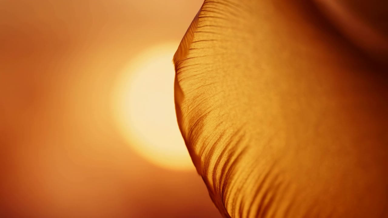 Detaillierte Makroaufnahme einer Federkante mit gekräuselter Spitze, feinen Federästen, weicher Silhouette und einem warmen, kreisförmigen Leuchten im Hintergrund, das eine sanfte Textur und Tiefe erzeugt.
