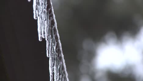 Schmelzende-Eiszapfen,-Tropfende-Wassertropfen