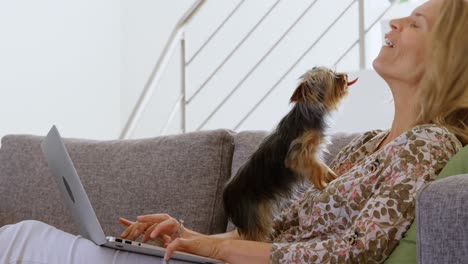 Woman-using-laptop-while-playing-with-cat-4k