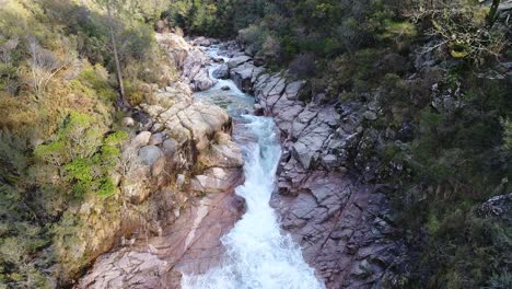 hermoso arroyo de montaña que fluye entre las rocas