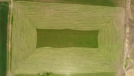 hv granja de río de arriba hacia abajo hacia arriba