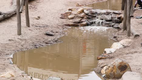 small waterfall flowing into a muddy stream