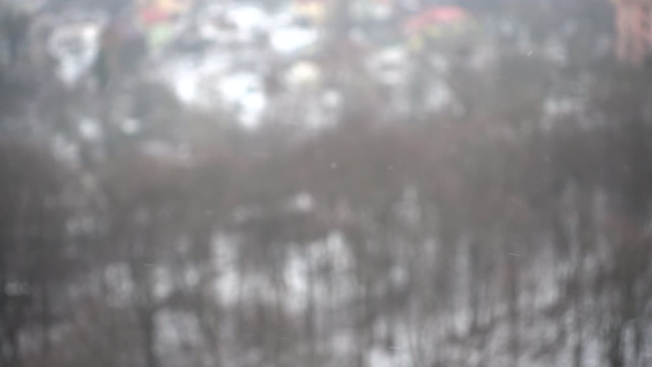 Neve che cade contro gli alberi. Rallentatore