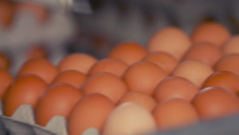 eggs moving on the production line