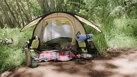 Close-up-of-a-tent-with-camping-equipment-in-forest,-slow-motion