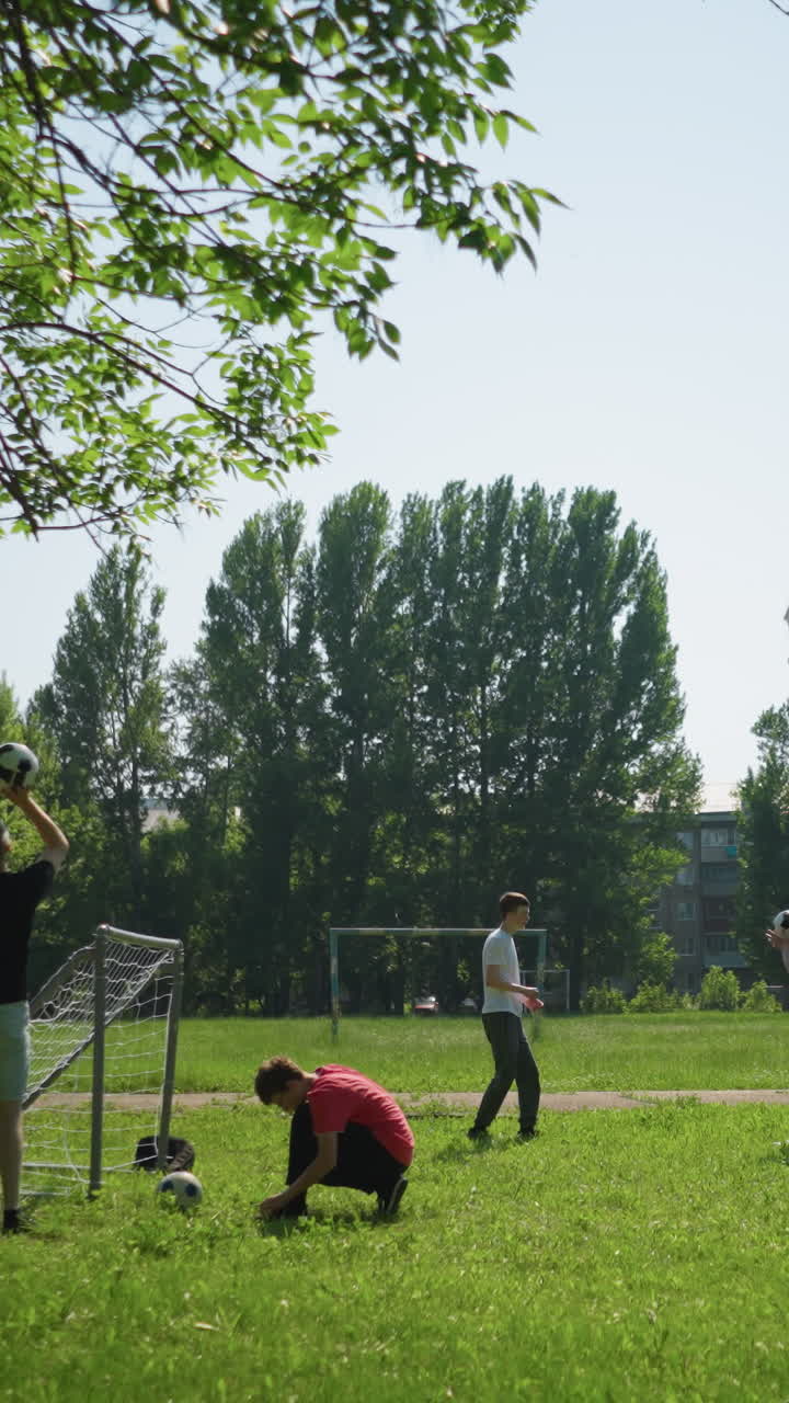 한 가족이 야외에서 축구를 하고 있는데, 한 소년은 골포스트 근처에 신발를 고 다른 소년은 공을 잡고, 다른 소년들은 초록색과 은 하늘에 둘러싸여 근처에서 놀고 있다.