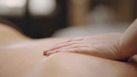 chiropractic treatment in spa salon or rehabilitation center masseuse is massaging male back