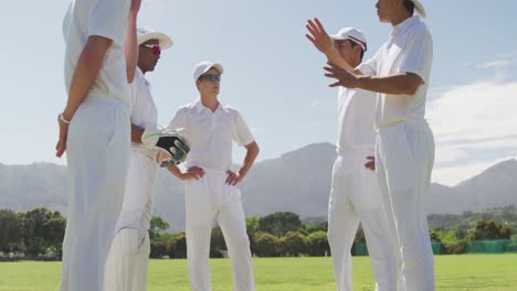 cricket players discussing on the pitch