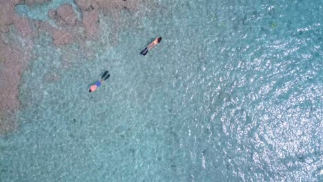 Couple-snorkeling-in-the-sea-4k