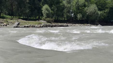 sunmarg valley, exploring the tranquil fresh waters of river sindh, boating bliss, forest trails, lush meadows and scenic himalayan landscapes