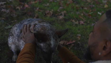 Hombre-Negro-Acariciando-A-Su-Perro-Ganadero-Australiano-En-Un-Día-De-Otoño