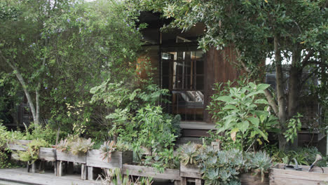 Primer-Plano-De-La-Casa-Detrás-De-Las-Plantas-En-Un-Jardín-Soleado,-Cámara-Lenta