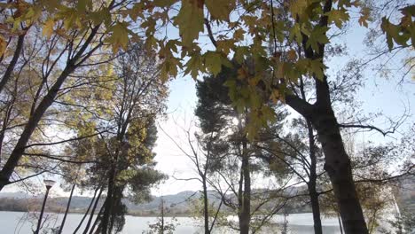 Blick-Durch-Die-Vegetation-Des-Großen-Parks-Von-Tirana-Auf-Den-Künstlichen-See-In-Albanien---Weitwinkelaufnahme-Nach-Unten