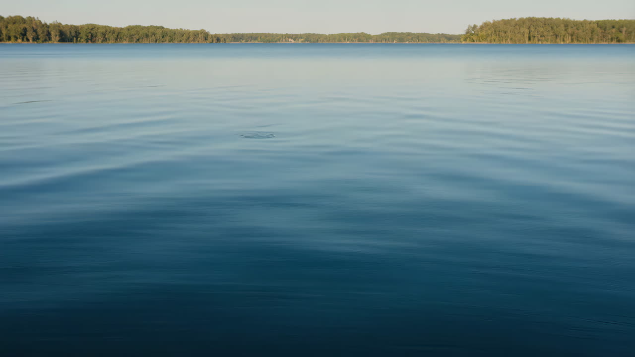 Lago tranquilo con ondas y arboleda distante