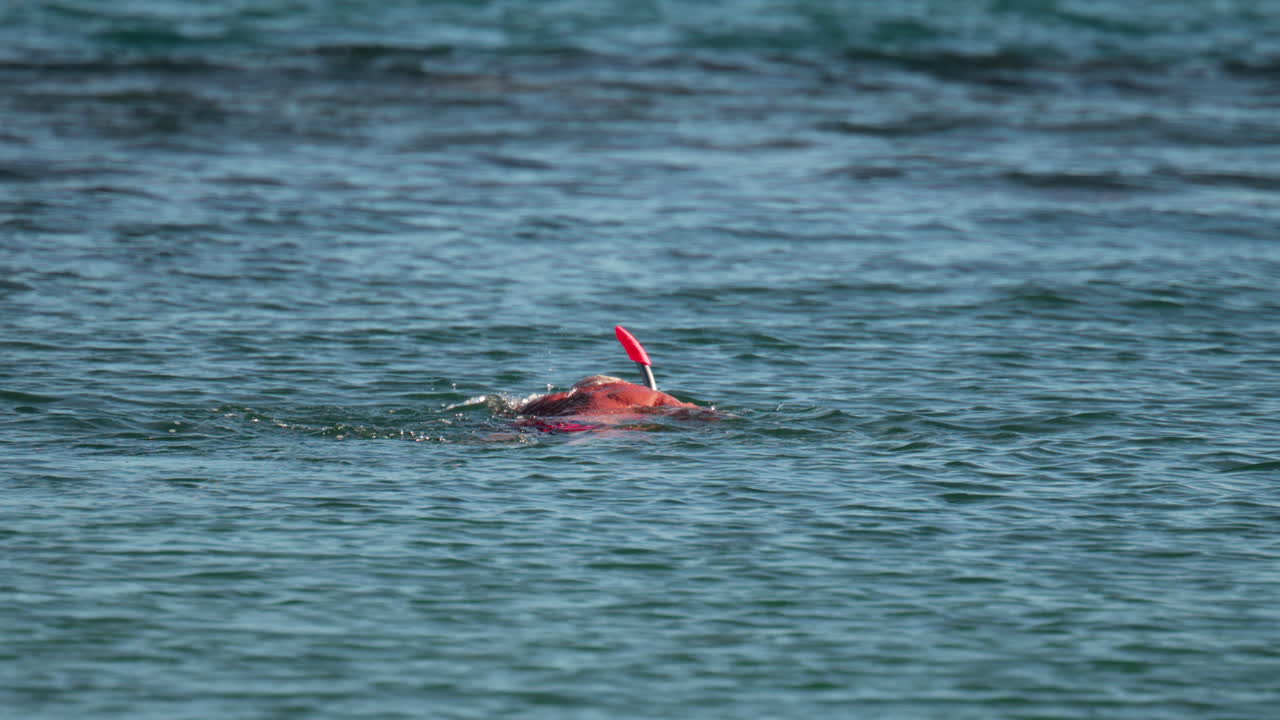 An elderly man swims with a snorkel and mask in the clear blue sea, exploring underwater life near the surface