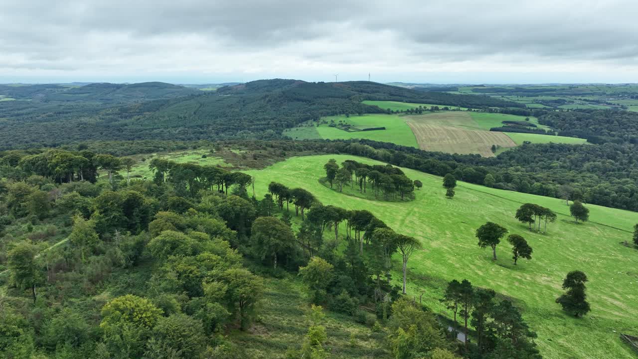 vuelo aéreo sobre prados y bosques exuberantes en waterford, irlanda, a finales del verano