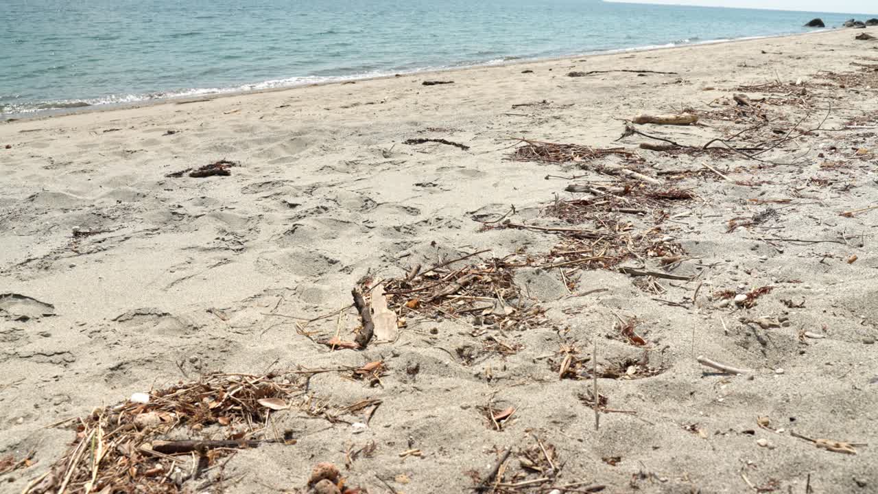 모래 해변을 퍼뜨리고 떠다니는 물체