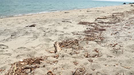 spreading sandy beach and drifting objects