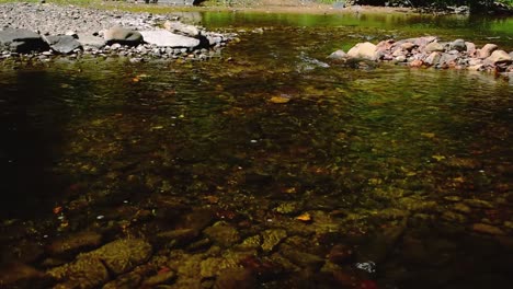 The-Moorman-River-in-Albemarle-County-Virginia-displays-beautiful-fall,-autumn-colors-with-clear,-clean-water,-colorful-leaves-flowing-through-the-man-made-dam