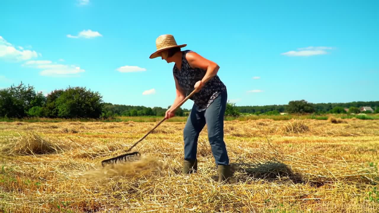 Farm Woman Raking Straw on a Sunny Day: Embracing Traditional Agriculture Practices with Hard Work and Nature's Bounty
