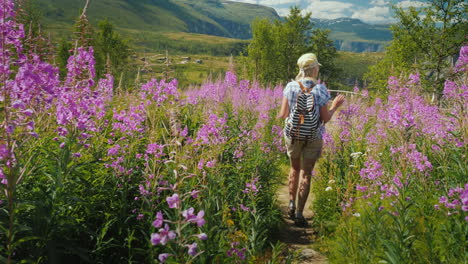 An-Active-Woman-Walks-Through-A-Beautiful-Valley-Among-Flowering-Flowers-Against-The-Backdrop-Of-Mou