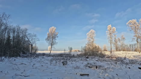 Langsamer-Panoramablick-Von-Links-Nach-Rechts-Auf-Schneebedecktes-Land-Mit-Weißen-Bäumen,-Blauem-Himmel-Und-Wolken