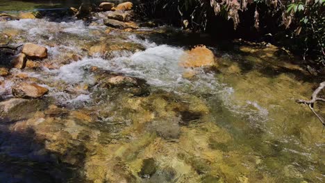 Panning-Shot-of-a-river-bed-with-water-running-gently-through-a-jungle-rain-forest-with-strong-sunlight-and-a-rocky-river-bed