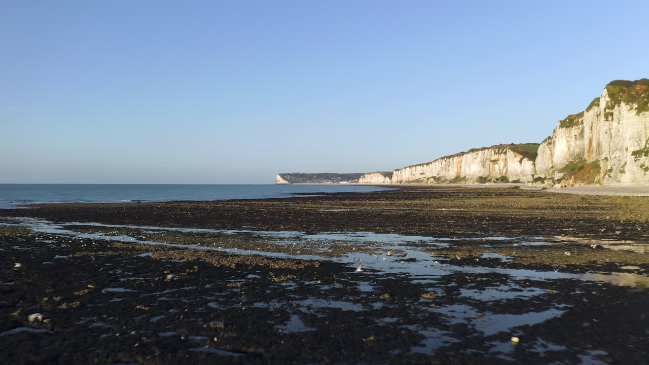 썰물 때 해변 위의 저고도 비행
