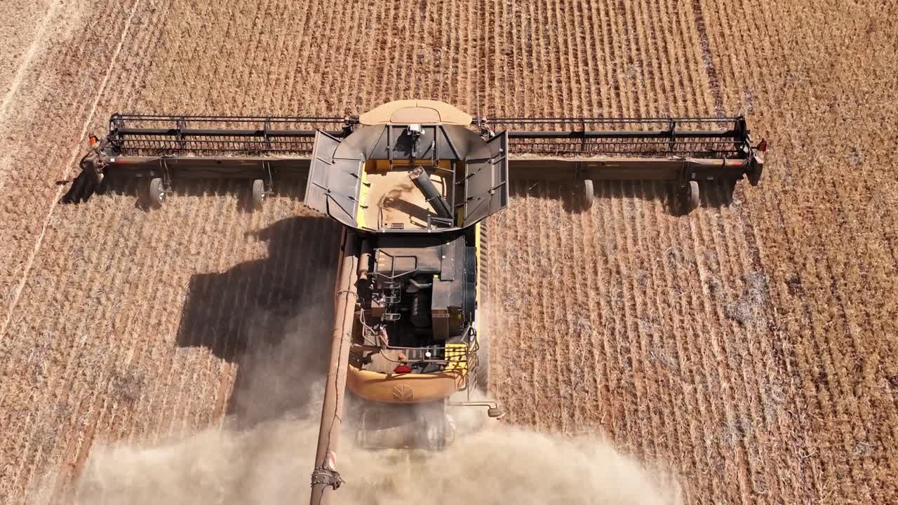 This footage captures the synergy of modern agricultural technology, showcasing the essential role of header fronts in the wheat harvesting process