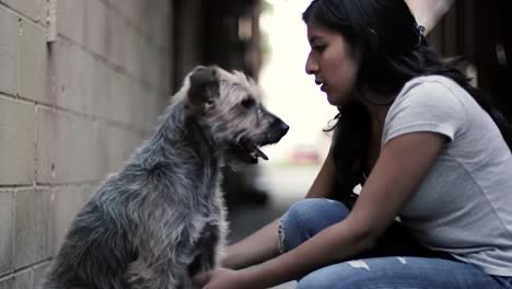a heartwarming encounter: a young woman and her loyal dog share genuine moments of connection and affection in a narrow alleyway